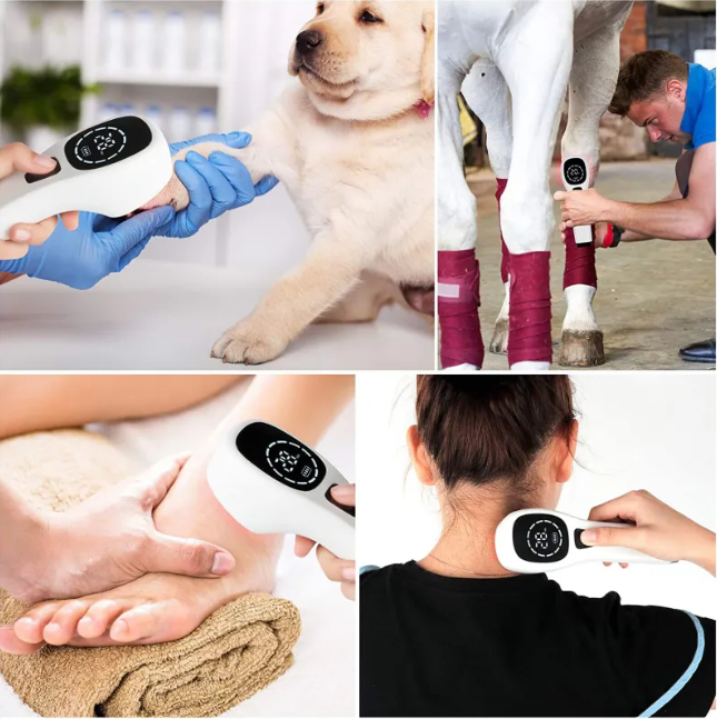 Easy Relief Red Light Therapy for You and Your Pets
